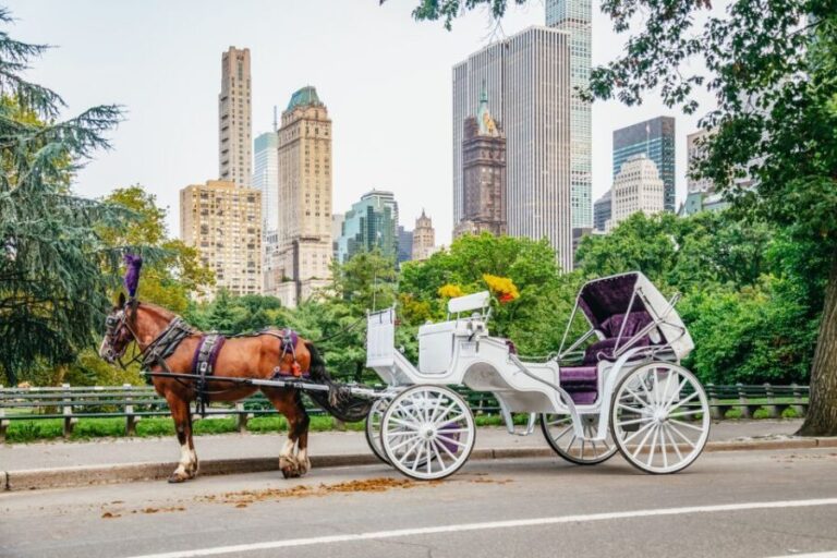 NYC: Guided Central Park Horse Carriage Ride - The Cost and Its Value