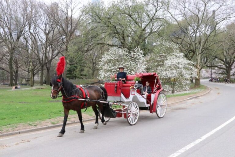 NYC: Guided Standard Central Park Carriage Ride (4 Adults) - Who Will Love This Experience?