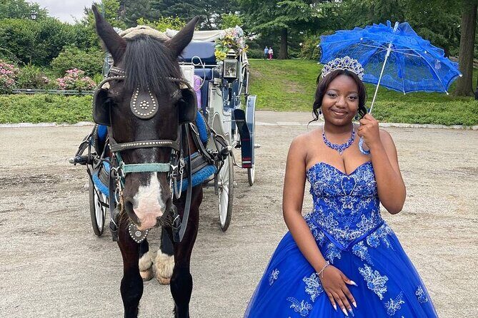NYC Horse and Carriage Central Park Tours - Frequently Asked Questions
