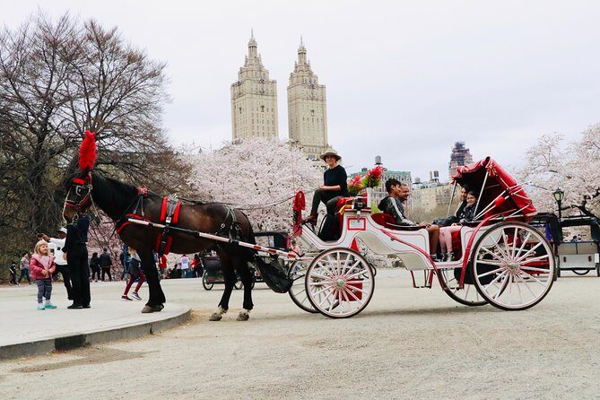 NYC Horse Carriage Ride in Central Park (50 Min. Up to 4 Adults) - What Travelers Say