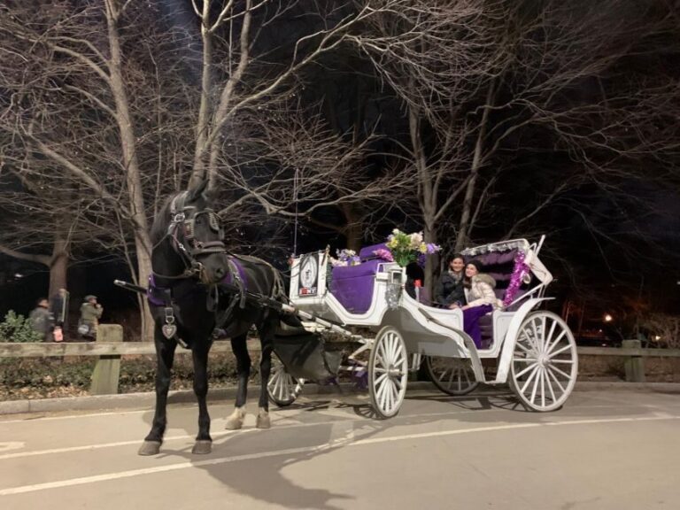 NYC Horse Carriage Ride in Central Park (65 min) - Analyzing the Cost and Value