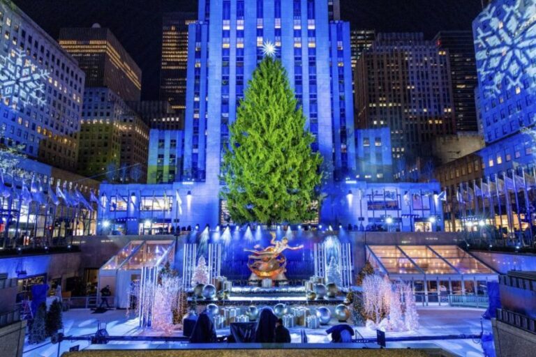 NYC: Magical Christmas Lights Carriage Ride - Who Will Love This Tour?