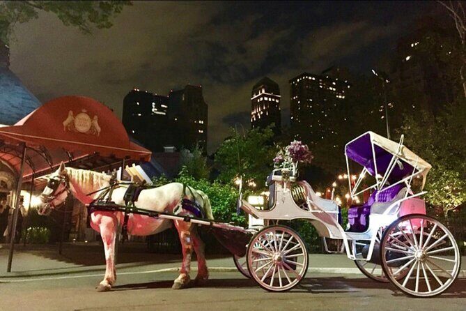 NYC : Magical Christmas Lights Private Horse Carriage Ride - How the Experience Compares to Other NYC Sightseeing Options