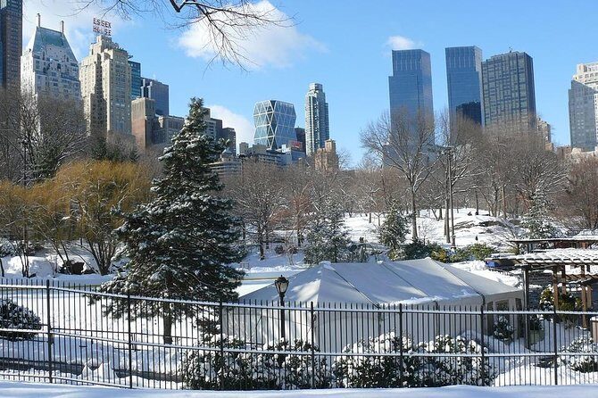 NYC Manhattan Private Custom Christmas Tour with a Local Guide - Practical Tips