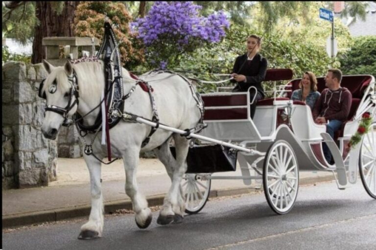 NYC: Private Central Park Horse Carriage Ride with Guide - The Itinerary in Detail