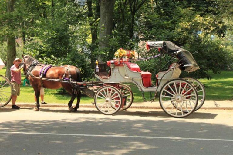 NYC Private Central Park Horse Carriage Ride with Guide - The Value for Your Money