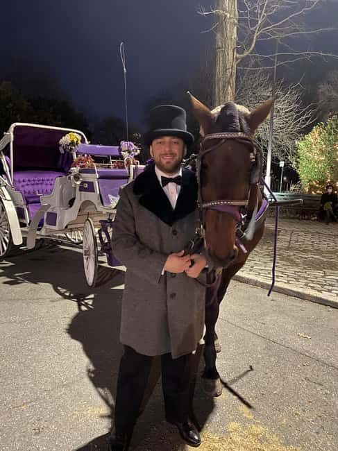 NYC: Private Christmas Lights Horse Carriage Ride - Guide and Comfort