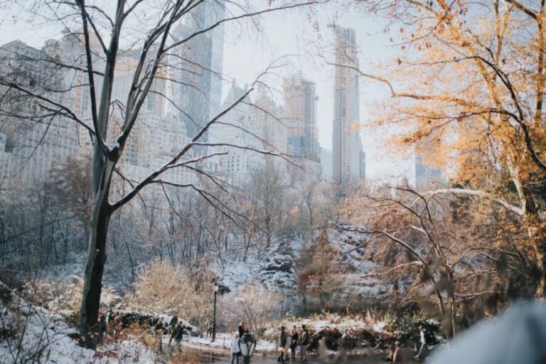 NYC Private Walking Tour with Professional Guide - Authenticity & Traveler Insights