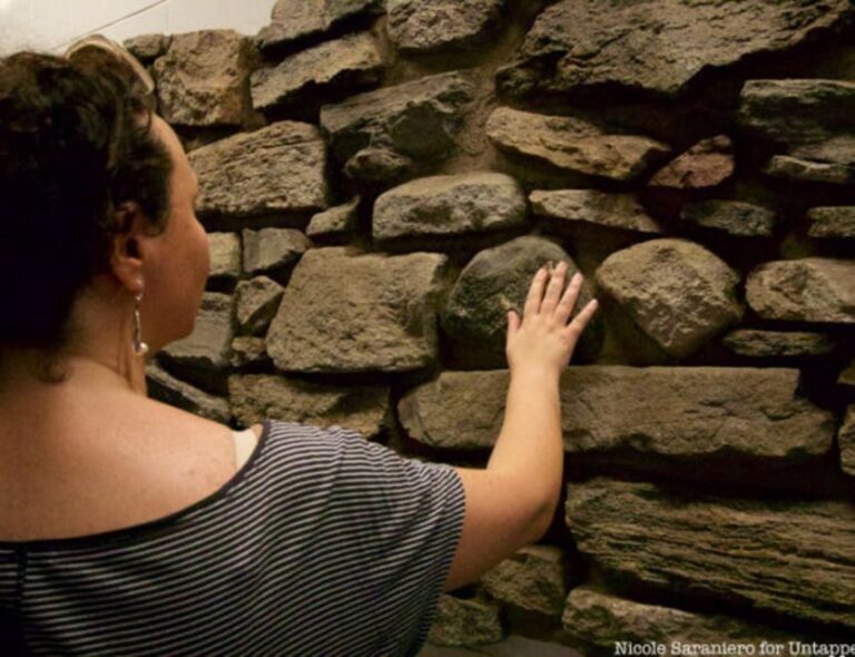 NYC: Remnants of Dutch New Amsterdam Guided Walking Tour - A Detailed Look at the Tour Experience