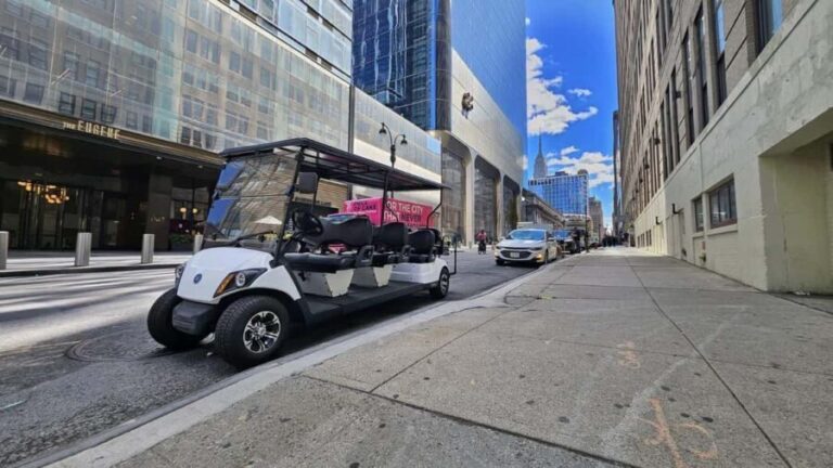 NYC:Midtown,Chelsea &West Village Guided City Tour by E-Cart - Final Thoughts