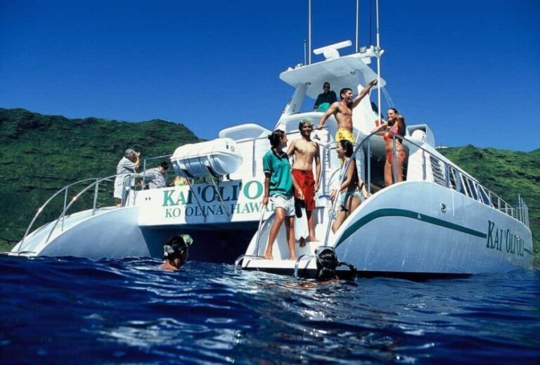 Oahu: 3 Zipline & All Inclusive Dolphin Watch Snorkel Cruise - What Does the Tour Cost and Is It Worth It?