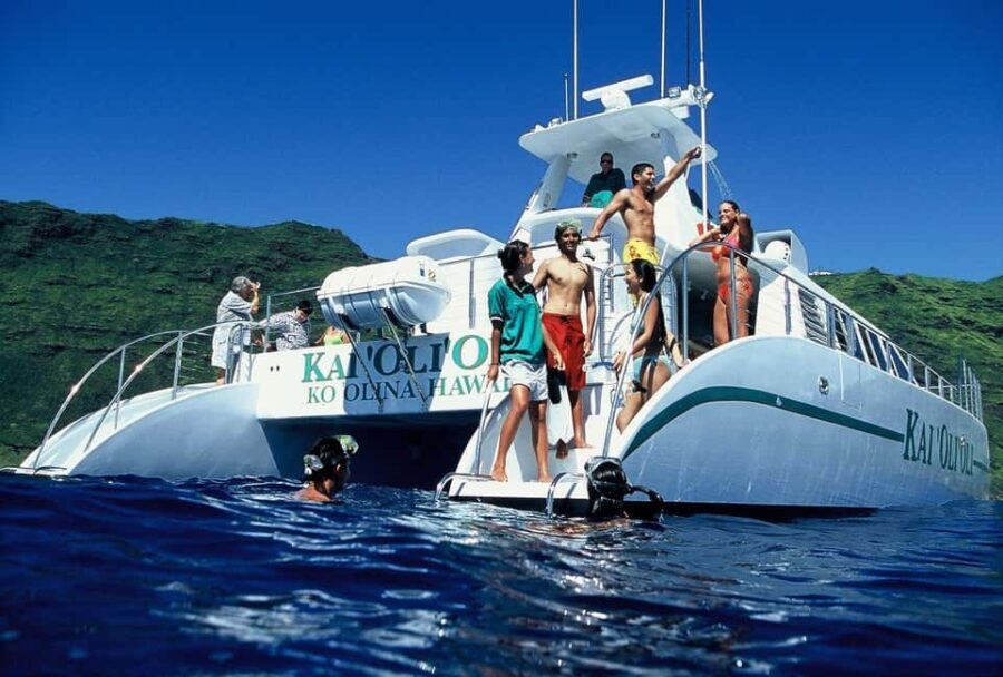 Oahu: 3 Zipline & All Inclusive Dolphin Watch Snorkel Cruise - What Does the Tour Cost and Is It Worth It?