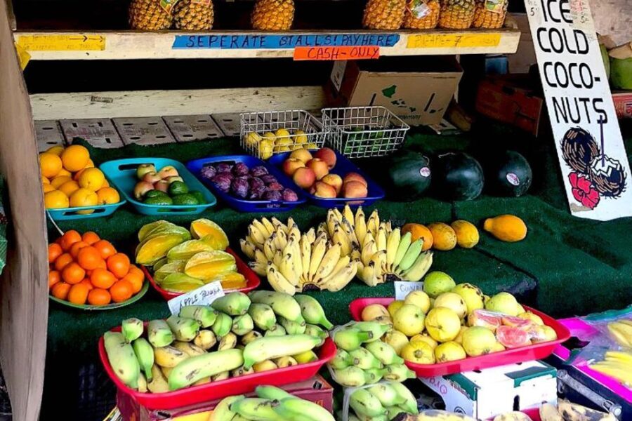 Oahu: Beauty and the Feast Circle Island Experience - The Transportation and Group Dynamics