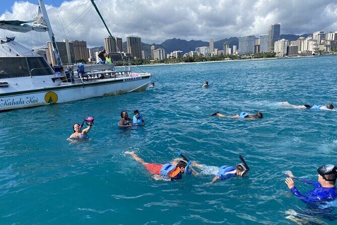Oahu Catamaran Snorkel Tour: See Turtles 100% Guaranteed - What Makes the Experience Special?