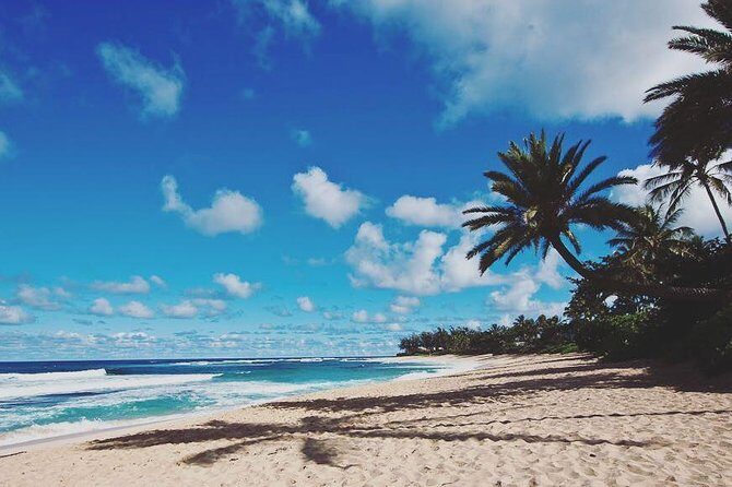 Oahu Circle Island: Snorkel with Turtles & Explore Turtle Beach - A Complete Breakdown of the Oahu Circle Island Tour