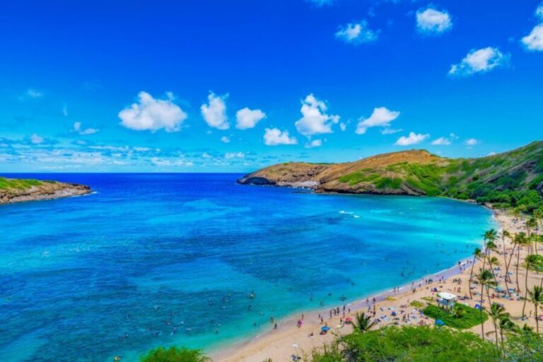 Oahu: Circle Island Top Sights Full-Day Tour w/ Local Guide - What You’ll Experience and Why It Matters