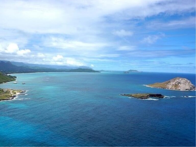 Oahu Circle Island Tour with Byodo-In Temple Admission - Transportation and Group Dynamics
