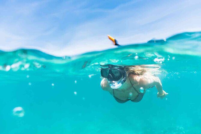 Oahu Coastline Cruise: Turtle Snorkeling and Jumping Platform - Who Is This Tour Best For?