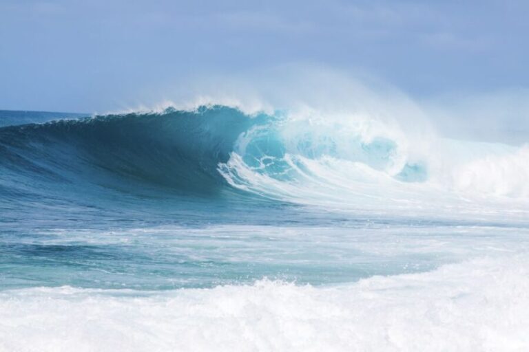 Oahu: Complete Island Tour with Tropical Waterfall Swimming - Authentic Experiences and What Travelers Say