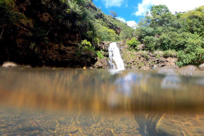 Oahu Custom Private Circle Island and Mini Circle Island Tours - What the Reviews Say