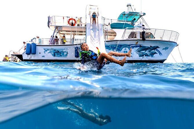 Oahu Dolphin Watch with Turtle Snorkel & Water Slide - What the Reviews Reveal