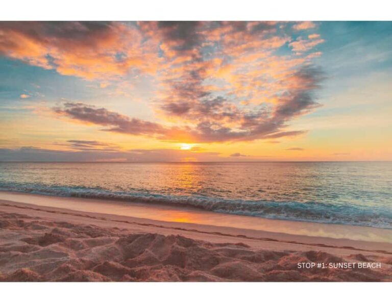 Oahu: Explore North Shore by E-Bike & Snorkel (Self-Guided) - FAQ