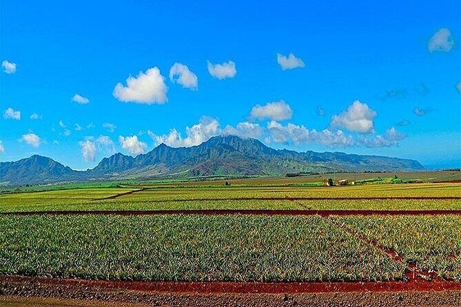 Oahu Grand Circle Island Experience Departing from Maui - Why This Tour Offers Great Value