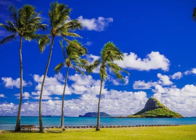 Oahu: Grand Circle Island Tour with Haleiwa - Practical Details and What to Expect