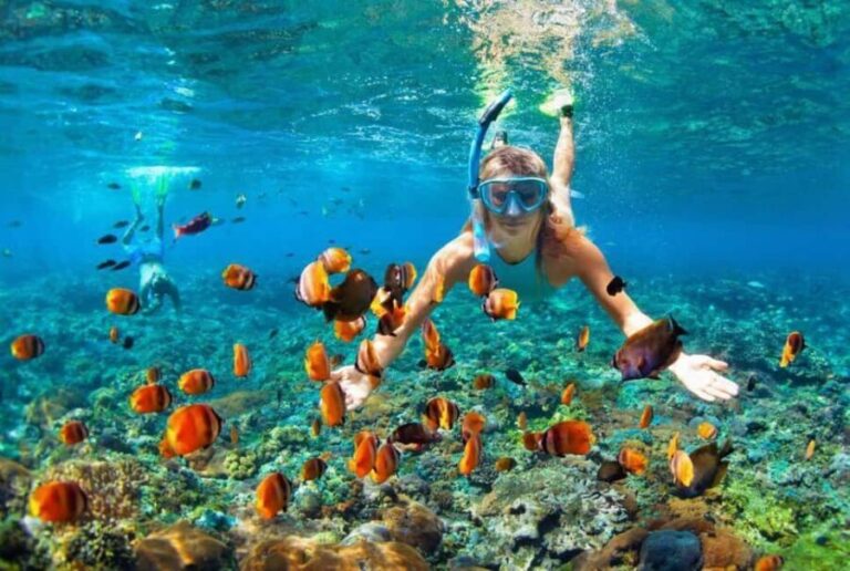Oahu: Hawaii Grand Circle Island Tour - The Practicalities: Transportation, Price, and Comfort