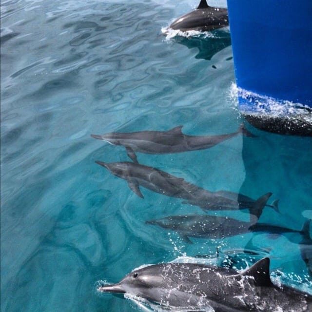 Oahu Hawaii: Honolulu Sailing Tour - Practical Details and Logistics