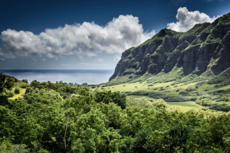 Oahu Hidden Gems & Waimea Botanical Garden/Waterfall tour - Transportation, Pace, and Value