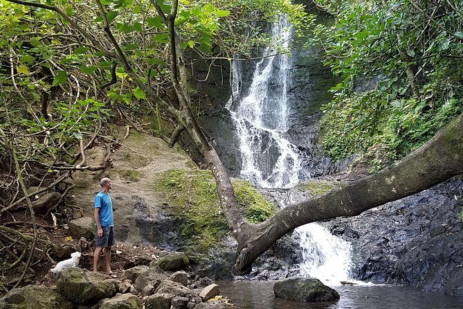 Oahu Hidden Waterfall Hike: A Tropical Paradise Adventure - Who Is This Tour Best For?