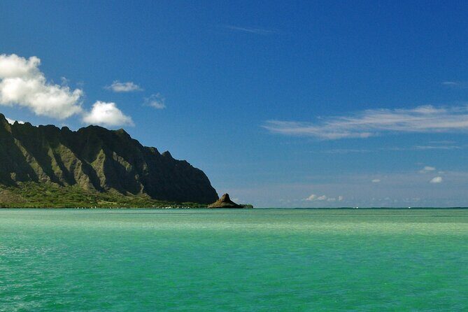 Oahu Highlights Private Guided Tour: Landmarks & Architecture - Analyzing the Value