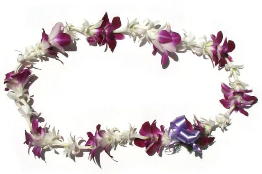 Oahu: Honolulu Airport (HNL) Traditional Lei Greeting - The Value of This Experience