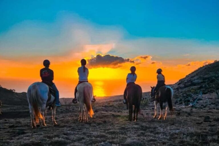 Oahu: Horseback Riding Sunshine or Sunset Tour - The Riding Experience