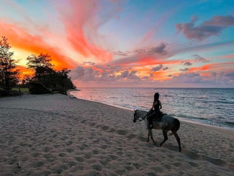 Oahu: Horseback Riding Tour on the North Shore - What to Expect During the Ride