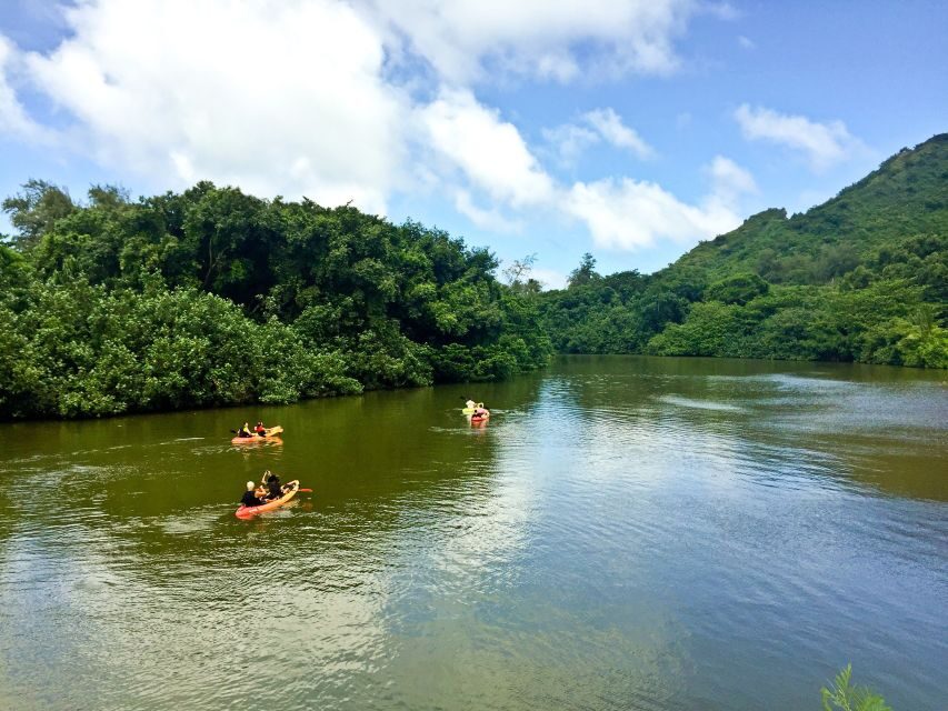 Oahu: Kahana Rainforest River 4-Hour Kayak Rental - The Sum Up: Is the Kahana Rainforest River Kayak for You?