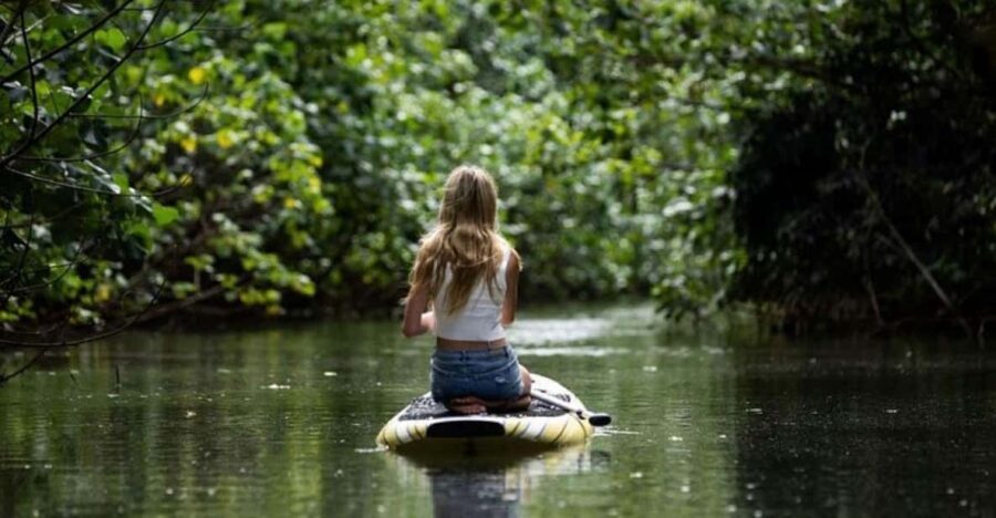Oahu: Kahana River Stand-Up Paddleboard Rental - Considerations and Tips