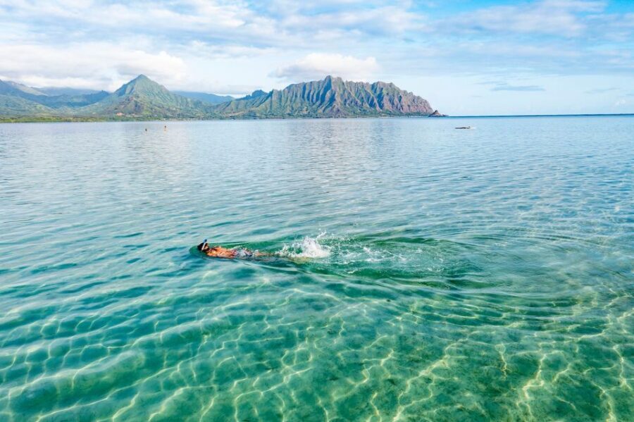 Oahu: Kaneohe Bay Coral Reef Kayaking Rental - Who Will Love This Experience?