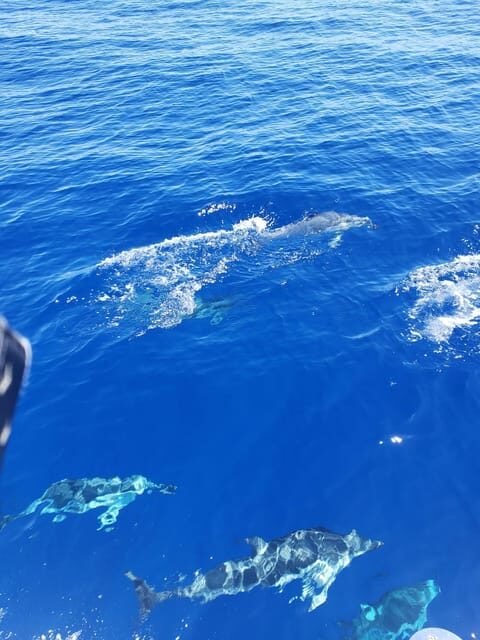 Oahu: Luxury Day Sailboat Charter - The Itinerary: What to Expect