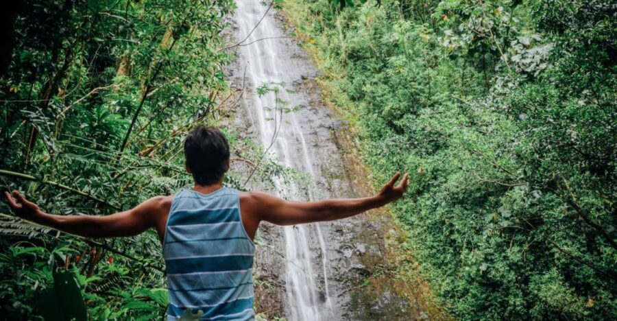 Oahu: Manoa Falls Waterfall Hike with Lunch and Transfers - Pricing and Value