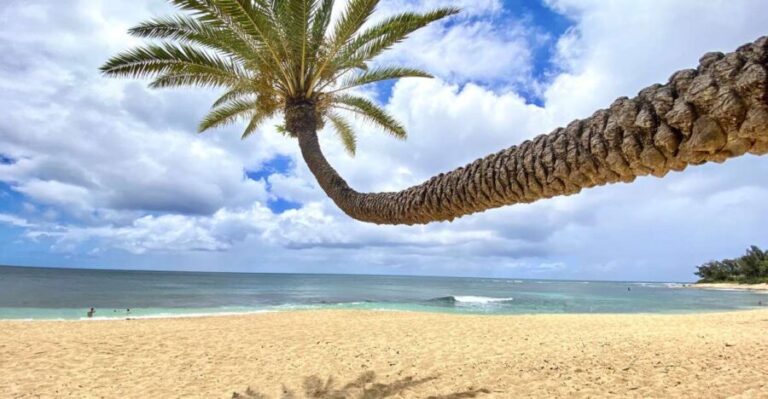 Oahu: North Shore Experience and Dole Plantation - What Reviewers Say