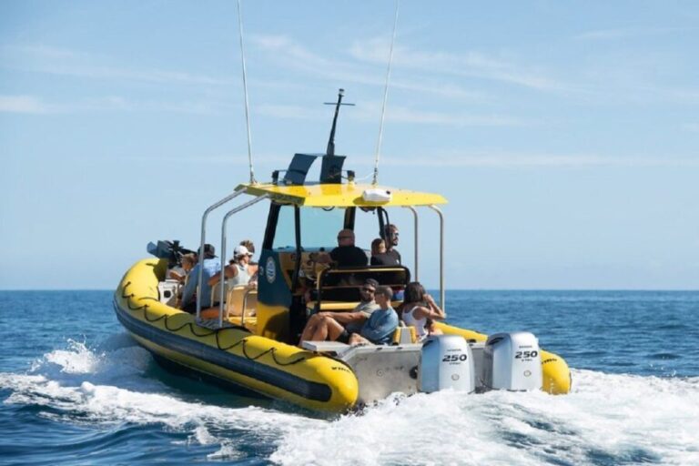 Oahu: North Shore Marine Life Tour from Haleiwa - The Itinerary and What Makes It Special