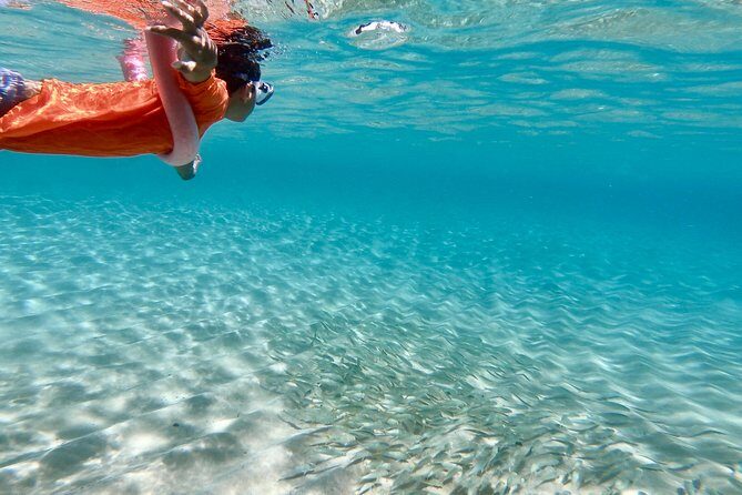 Oahu Personalized Private North Shore Highlight Custom Tour - Who Should Consider This Tour?