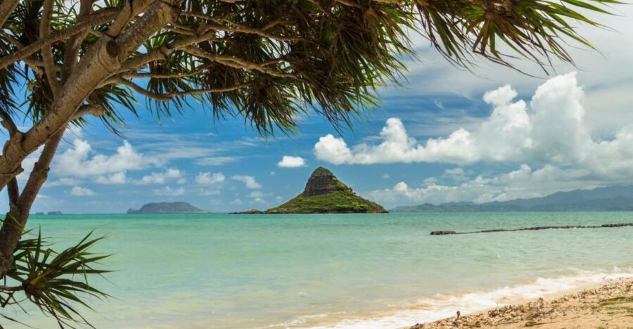 Oahu: Private Custom Island Tour - Who Should Book This Tour?