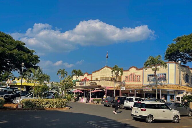 Oahu Private Tour North Shore, Waimea Falls and Dole Plantation - Who Should Consider This Tour?