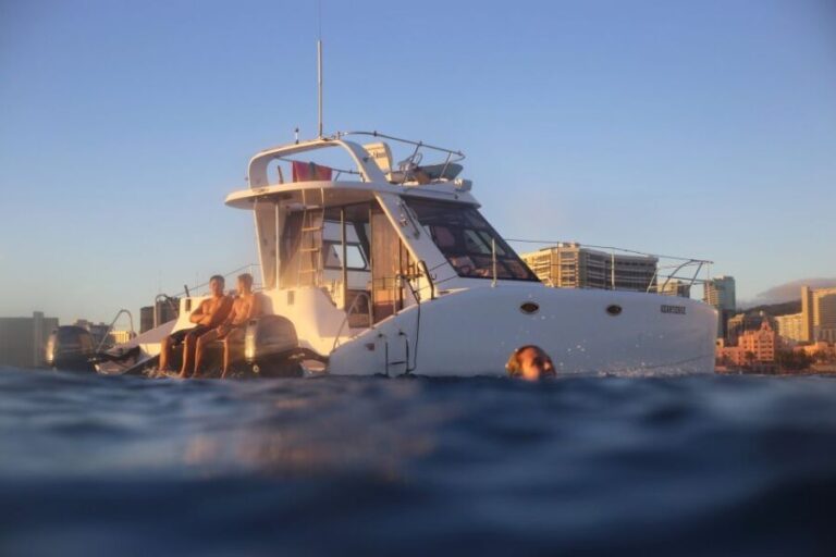 Oahu: Private Turtle Snorkeling with Customizable Itinerary - Who Will Love This Tour?