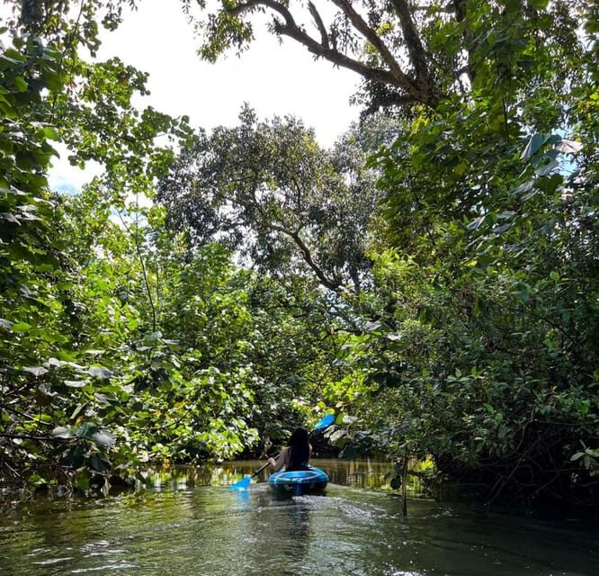 Oahu: Single & Double Kayak 3-Hour River Rental - Practical Tips for Your Kayaking Day