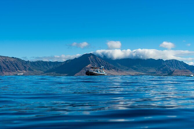 Oahu Swimming with Dolphins Speedboat Adventure - The Itinerary in Detail