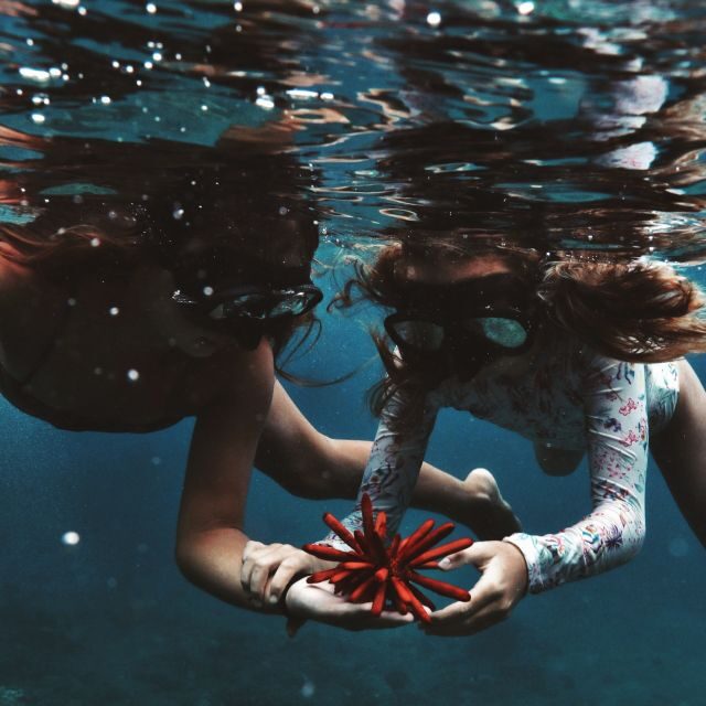 Oahu: Turtle Canyon Snorkeling Boat Tour - The Value: Price and What’s Included